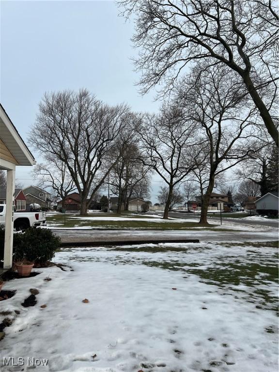 view of snowy yard