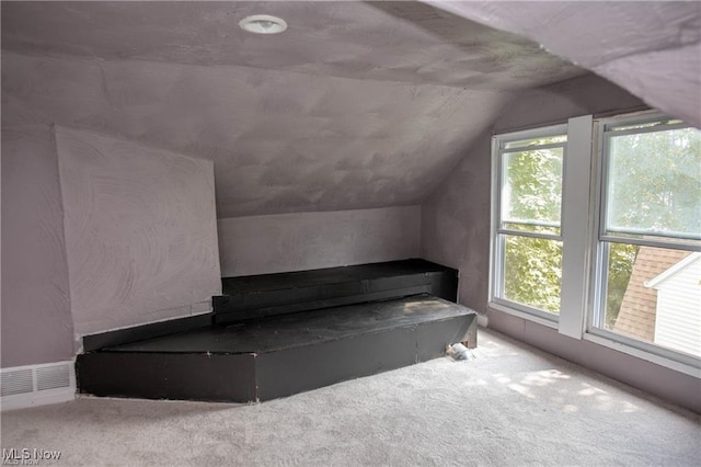 additional living space featuring lofted ceiling and carpet