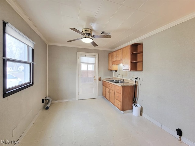 kitchen with crown molding, ceiling fan, and sink