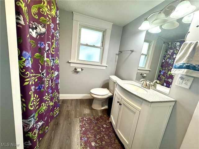 588 Robinette Ct, Akron, OH 44310 - bathroom featuring vanity, wood finished floors, toilet, baseboards, and a textured ceiling
