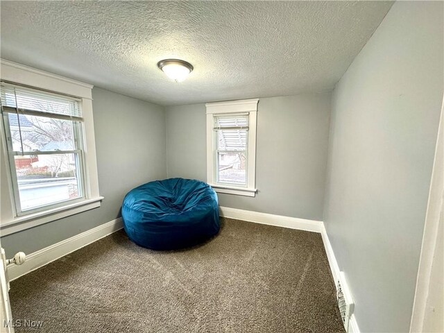 588 Robinette Ct, Akron, OH 44310 - miscellaneous room featuring baseboards, carpet flooring, and a textured ceiling