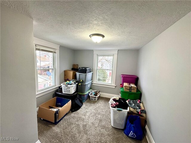 588 Robinette Ct, Akron, OH 44310 - view of storage