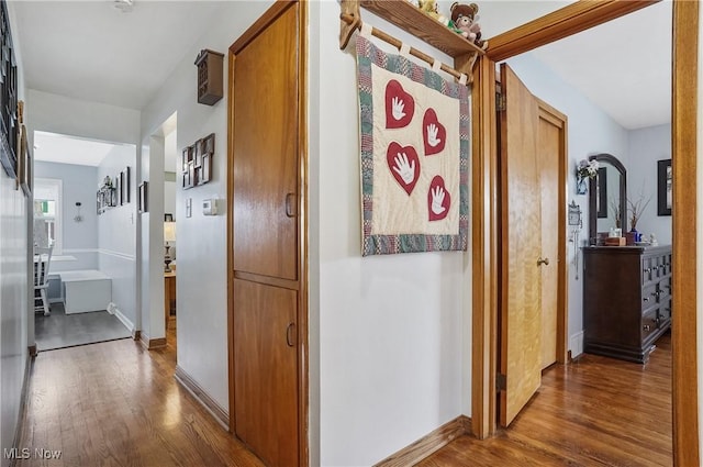 hall featuring dark hardwood / wood-style floors