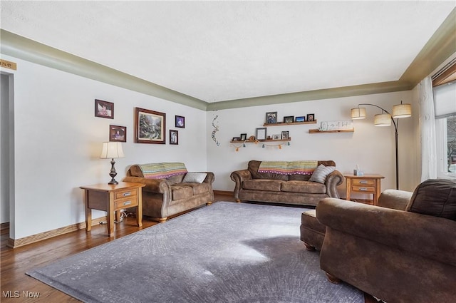 living room featuring dark hardwood / wood-style flooring