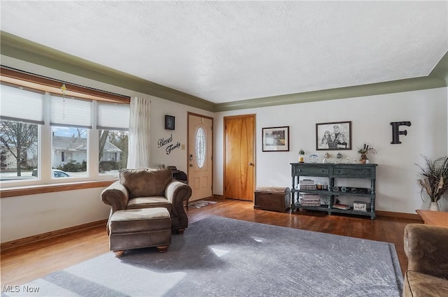 living room with hardwood / wood-style flooring and a textured ceiling