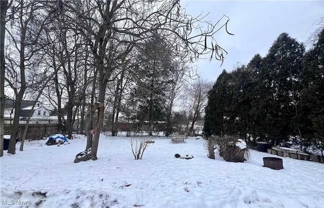 view of yard covered in snow