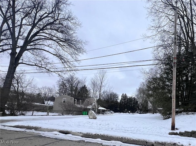 view of snowy yard