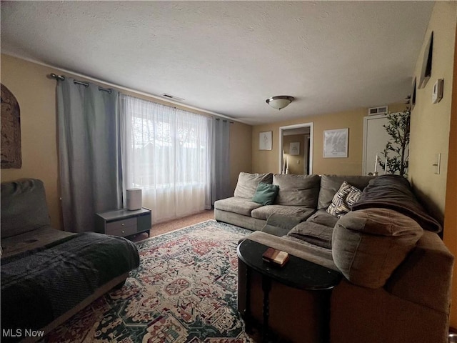 living room featuring carpet and a textured ceiling