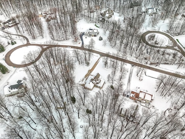 view of snowy aerial view