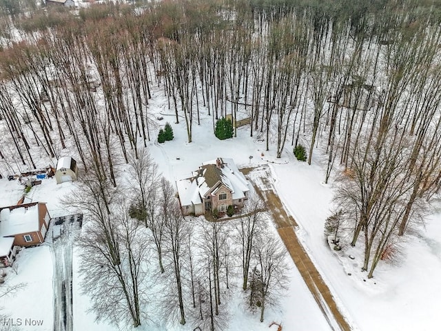 view of snowy aerial view