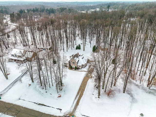 view of snowy aerial view