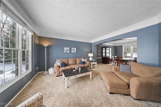 living room featuring ornamental molding, a textured ceiling, and carpet flooring