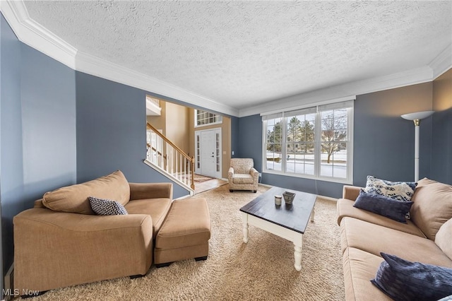 living room featuring ornamental molding, a textured ceiling, and carpet flooring