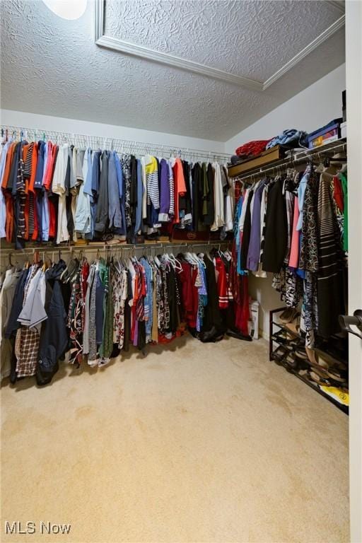 walk in closet with carpet floors