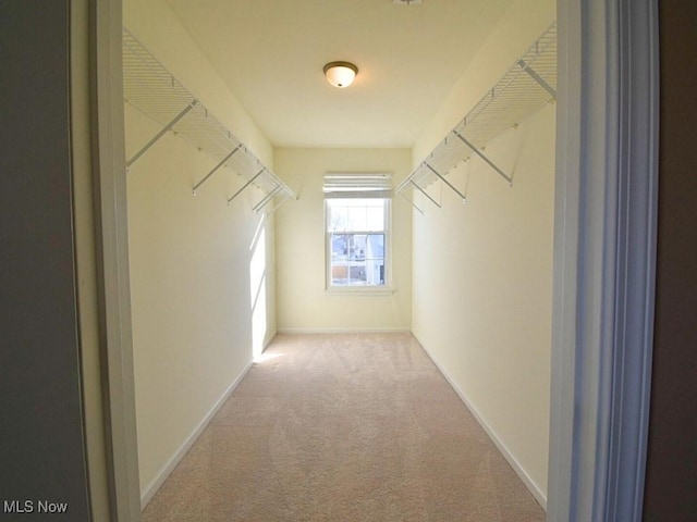 spacious closet with carpet floors