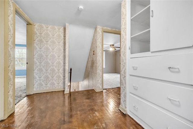 interior space featuring dark wood-type flooring