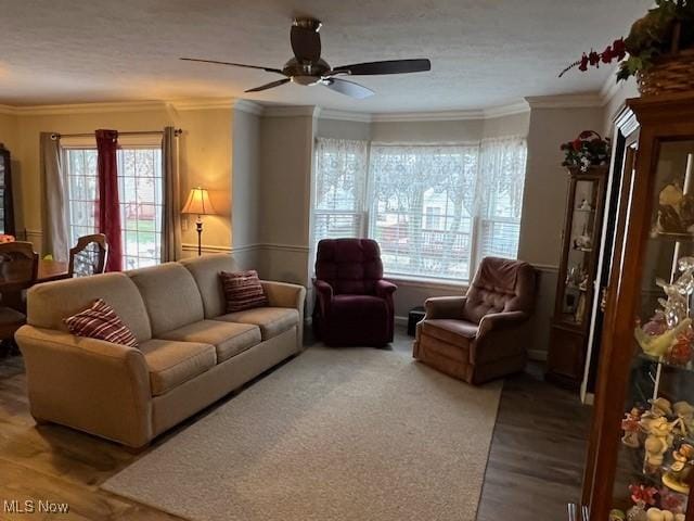 living room featuring crown molding, hardwood / wood-style floors, and ceiling fan