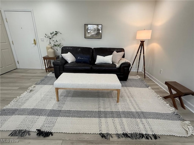 living room with light hardwood / wood-style floors