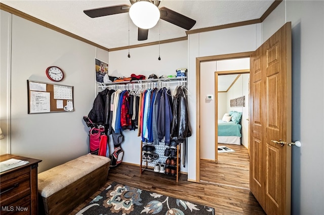 interior space featuring ornamental molding, wood-type flooring, and a textured ceiling