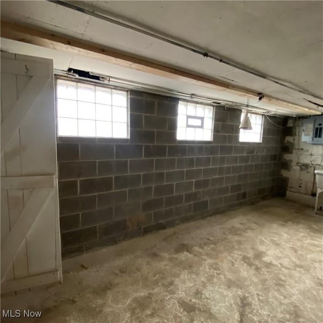 basement with electric panel