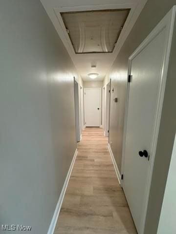 corridor featuring light hardwood / wood-style flooring