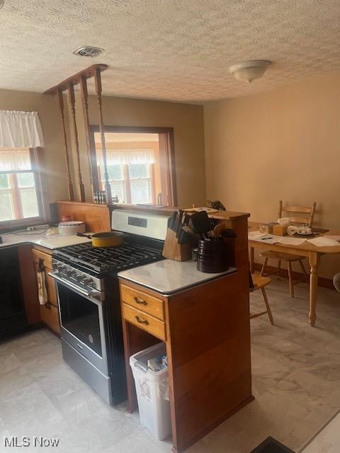 kitchen featuring a healthy amount of sunlight and stainless steel gas stove