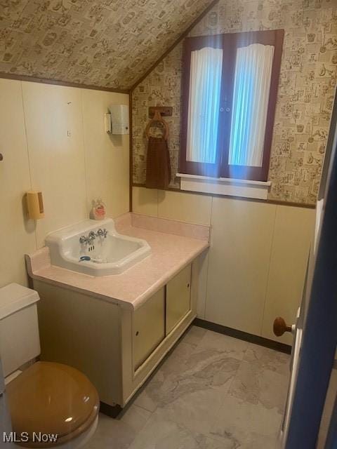 bathroom with vaulted ceiling, vanity, and toilet