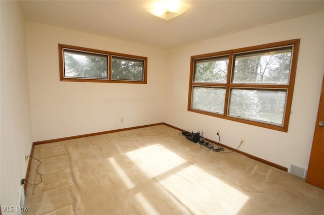 empty room featuring plenty of natural light and carpet flooring