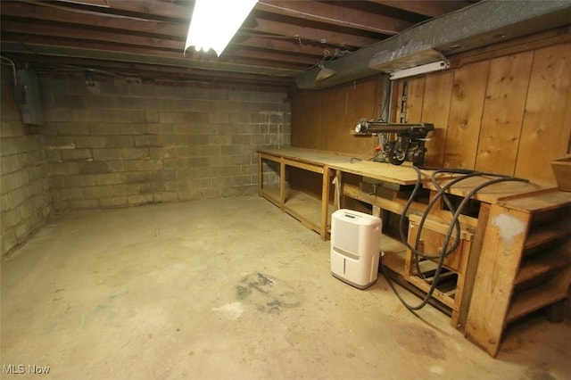 basement with a workshop area