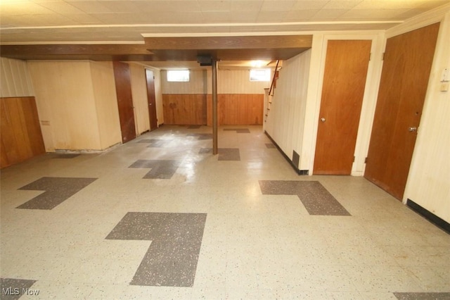 basement with wooden walls