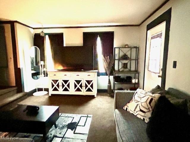 living room featuring carpet floors and ornamental molding