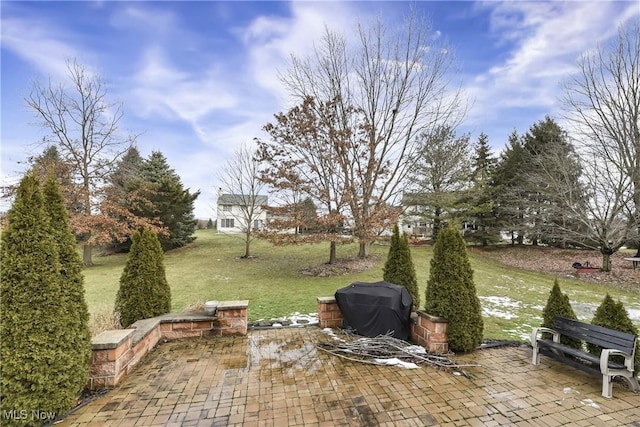 view of yard with a patio area