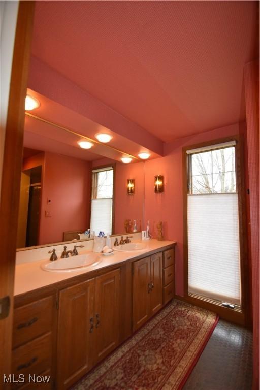 bathroom with vanity and a wealth of natural light