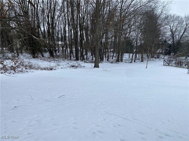 view of yard covered in snow