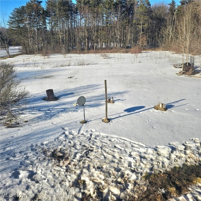 view of yard layered in snow