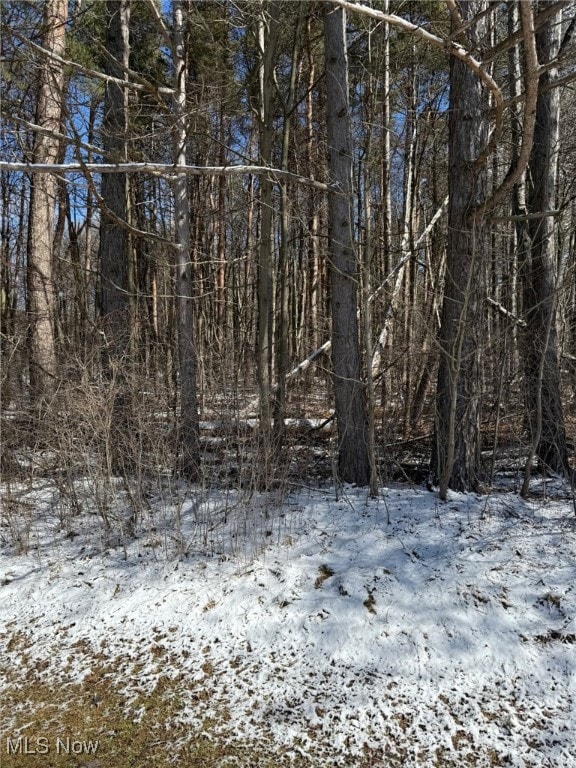 view of snowy landscape