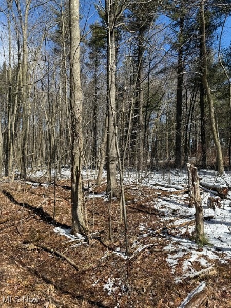 view of landscape featuring a wooded view