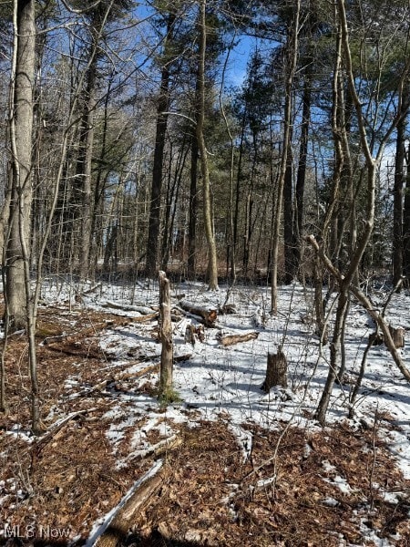 view of snowy landscape