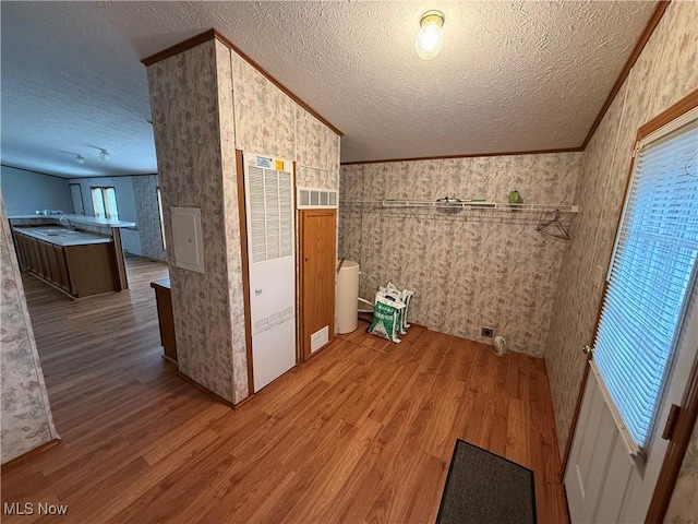 interior space with crown molding, sink, hardwood / wood-style floors, and a textured ceiling