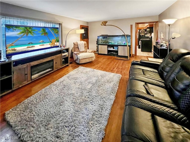 living room featuring wood-type flooring