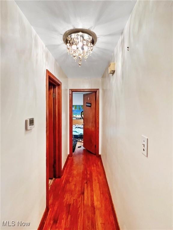 hall with an inviting chandelier and wood-type flooring