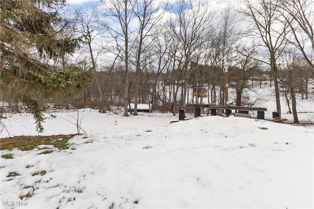 view of snowy yard