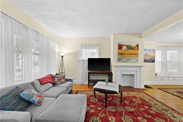 living room with wood-type flooring, a fireplace, and a textured ceiling