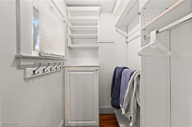 walk in closet featuring dark wood-type flooring