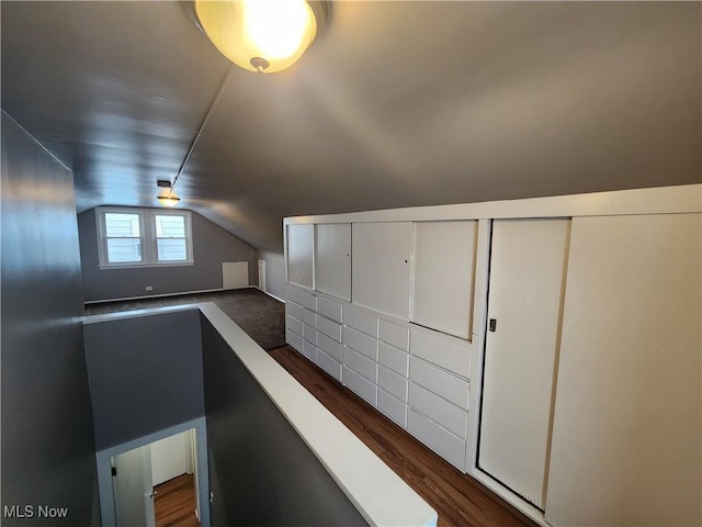 additional living space featuring lofted ceiling and dark hardwood / wood-style floors