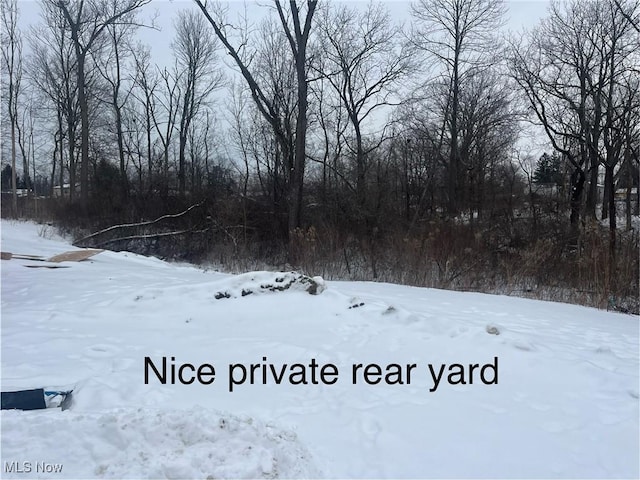 view of yard covered in snow