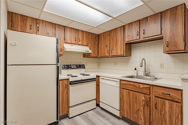 kitchen featuring sink, tasteful backsplash, white appliances, light hardwood / wood-style floors, and a drop ceiling