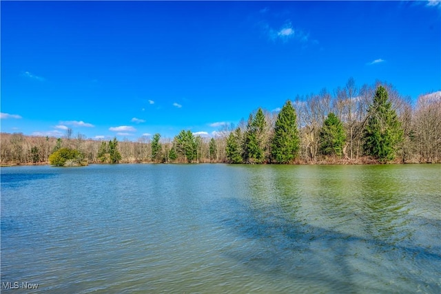 property view of water