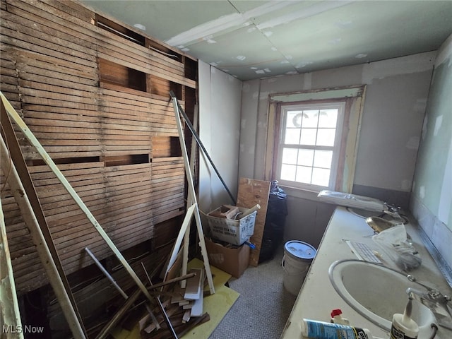 bathroom featuring sink