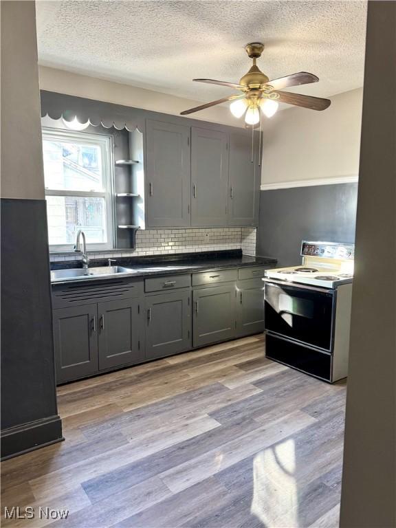 kitchen featuring sink, light hardwood / wood-style flooring, gray cabinets, electric range, and decorative backsplash